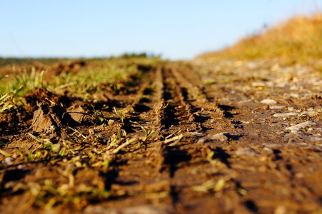 Away field landscape