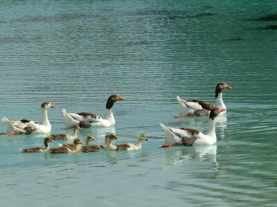 Turkey water thermal springs