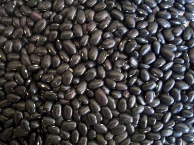 Food texture background
