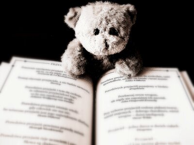 Teddy child book photo