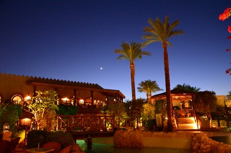 Palms hotel vacation