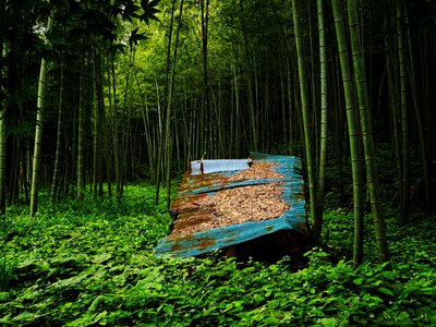 Kumamoto bamboo tin photo