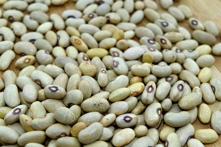 Bean many health
