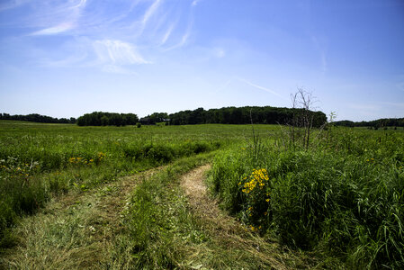 Trail at North Mendota Prairie landscape