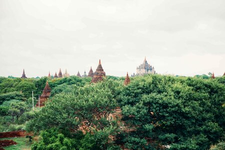 Temples & Treetops