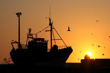 Sea sunset silhouette