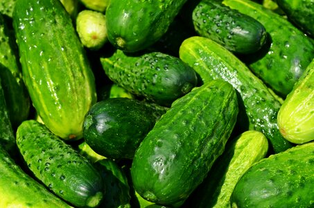 Healthy fresh eating