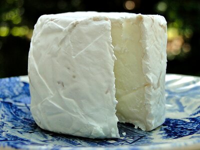 Round aged white