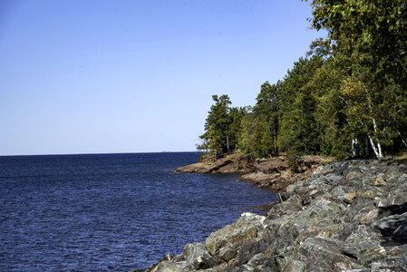 Shoreline landscape with water and trees at Presque Isle photo