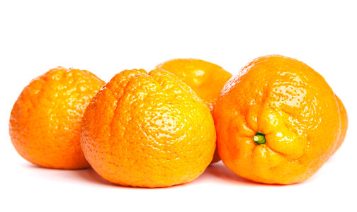 isolated tangerine photo