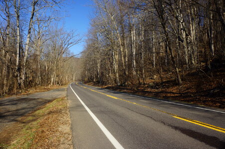 Buck Hollow/Buck Ridge Loop Trail in Shenandoah