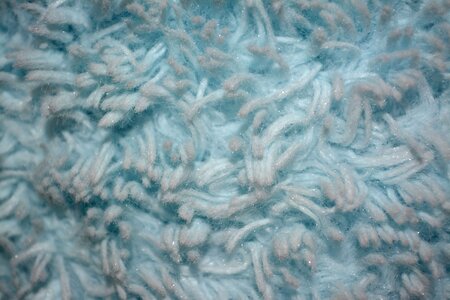 Soft fuzzy furry