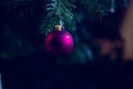 Fir Tree Christmasy Eve Ball photo