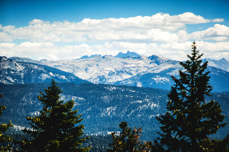 Beautiful Mountain and Forest Landscape in Sequoia National Park, California photo