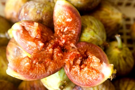 Agriculture diet dietary