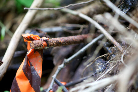 Flagging during river and stream assessment-1 photo