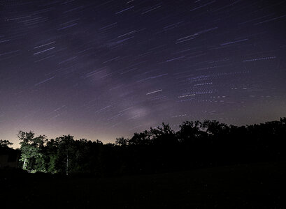 Star Trails Above the Trees photo