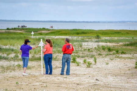 Visitors at shorebird nesting area