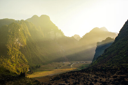 Green Rice fields in Vietnam photo