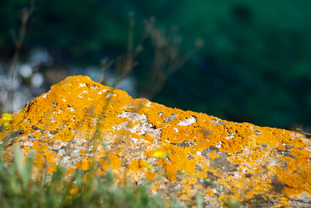 Orange rock photo