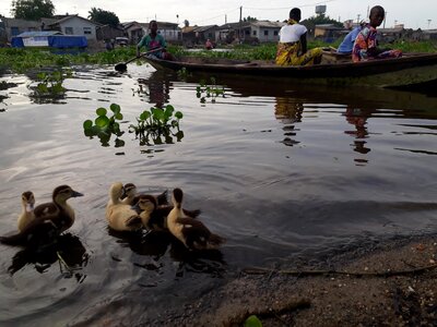 Water river lake photo