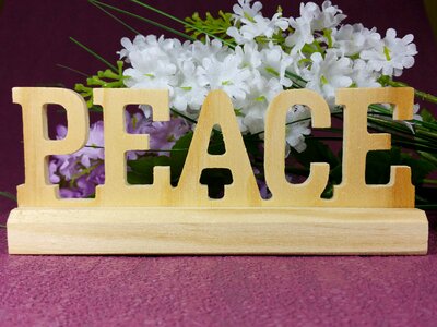 Flowers wood background