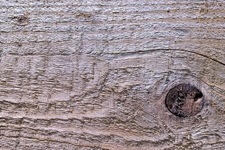 Design grunge hardwood photo