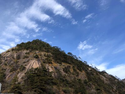 Asia aspen cliff