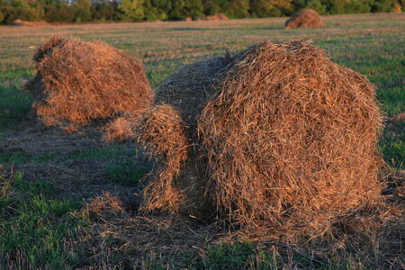haystack photo