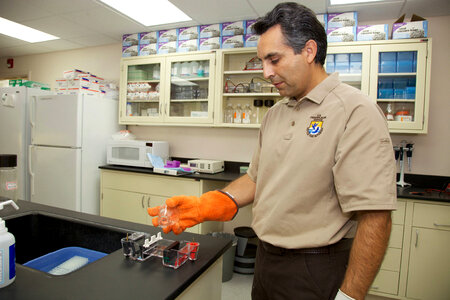 Service scientist at Lower Columbia River Fish Health Center photo