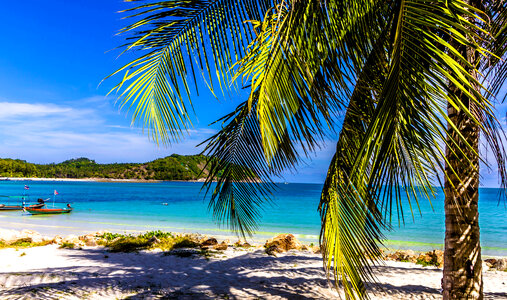 Tropical Thai Beach in Thailand photo