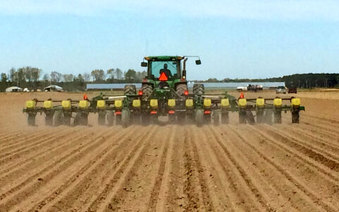 Corn planting with a tractor in Arkansas photo
