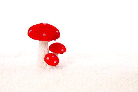 Holiday isolated mushroom photo