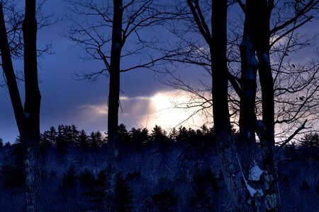 Clouds forest nature