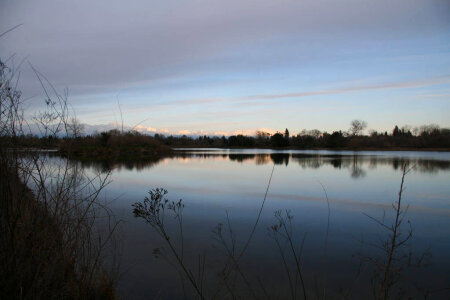 William Pond Park photo