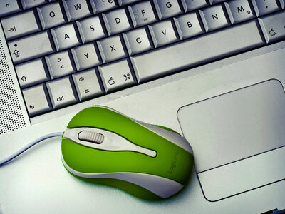 Green Mouse with Keyboard photo