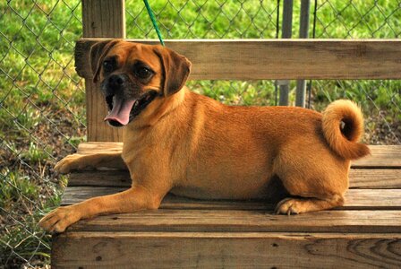 Bench pose happy