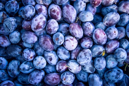 Beautiful Photo diet dietary
