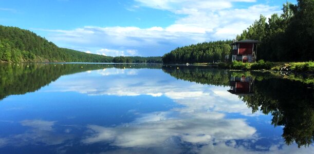 Blue Sky forest lake photo