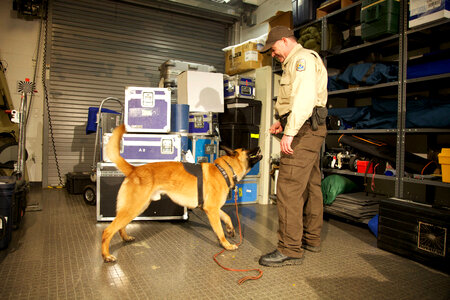 Law enforcement with K-9-1
