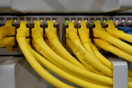 Patch cable network cable photo
