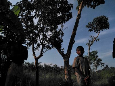 People trees landscape photo