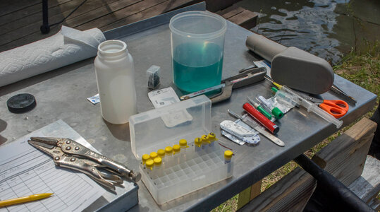 Medical instruments used by USFWS fisheries crew