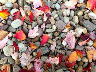 Fall stone leaf photo