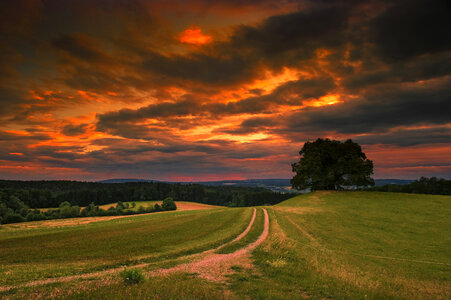Red clouds and skies over the landscape photo