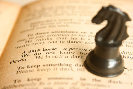 Dark Horse Idiom