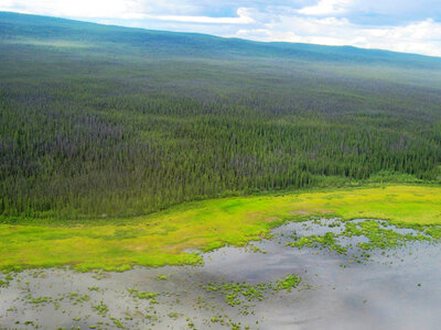 Wetland at Yukon Flats National Wildlife Refuge-2 photo