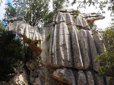 Moleta de binifaldó camel stone camel photo