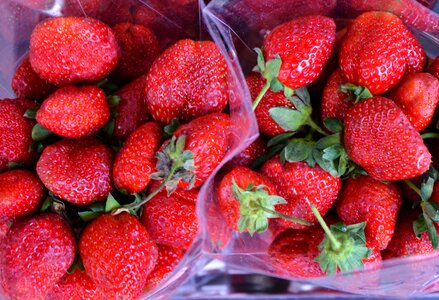 Berries berry calorie