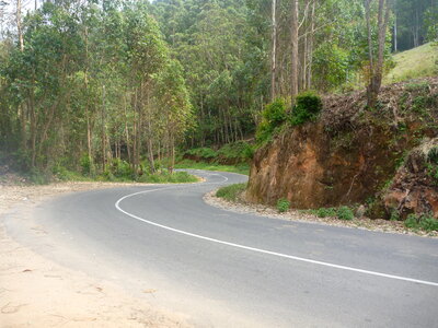 Curvy Road photo